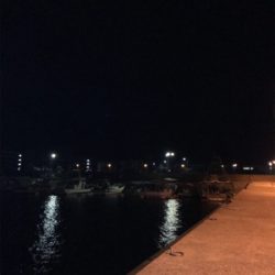 タケノコメバル