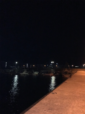 タケノコメバル