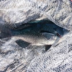 爆風でスランプ！