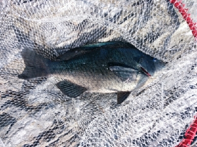 爆風でスランプ！