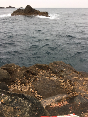 グレ浮きフカセ釣