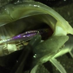 アメニモマケズ