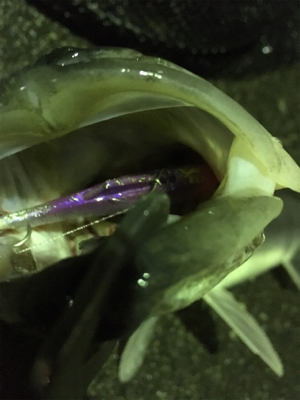 アメニモマケズ