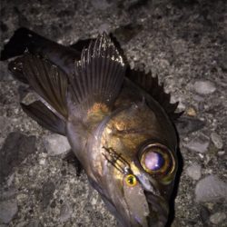 アフターメバル