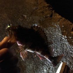 風にも負けず…