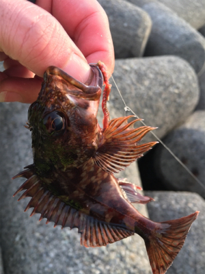 冬の穴釣りは夢があるな〜