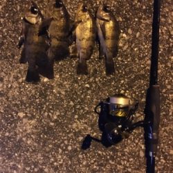 新天地を求めて