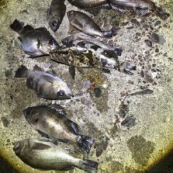 なかなか絶好調