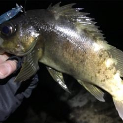 すごいゲスト！