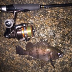 相変わらず渋いが‥。