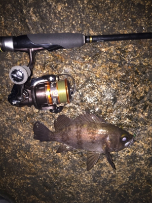 相変わらず渋いが‥。