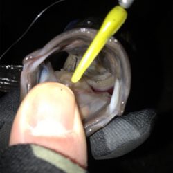 そろそろ上向き？