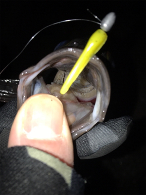 そろそろ上向き？