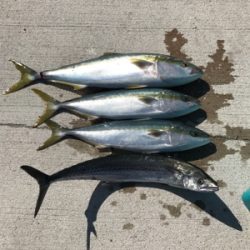 スロージギング