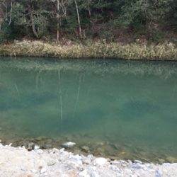 北田原にて鱒釣り堪能