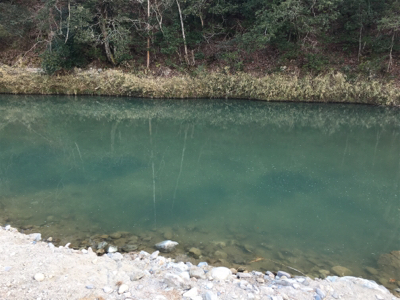 北田原にて鱒釣り堪能