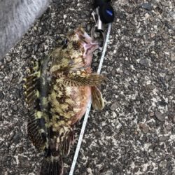 朝1時間弾丸チャレンジ