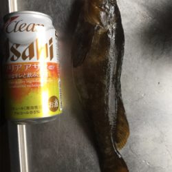 釣れてる情報は無いが!