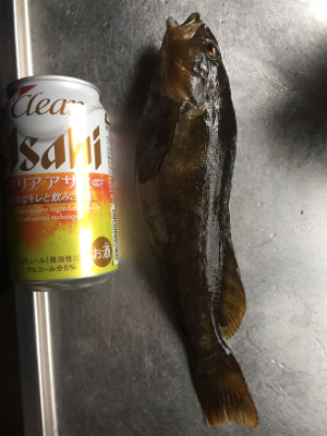 釣れてる情報は無いが!