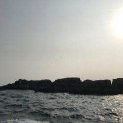 長崎 五島 磯グレ