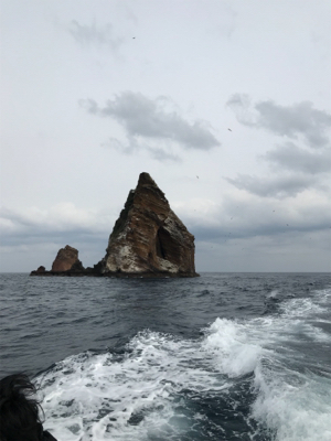 五島 福江 磯釣り