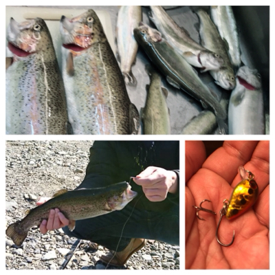 芥川マス釣り場にて♫