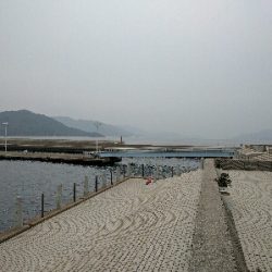 広島市内のメバリングは貧果続き