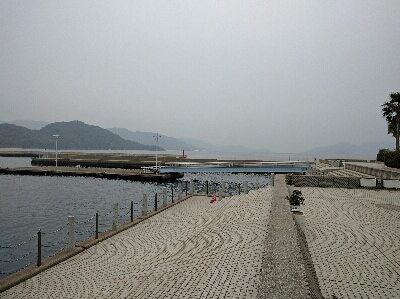 広島市内のメバリングは貧果続き