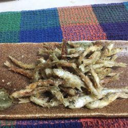 布目ダムでワカサギデビュー!