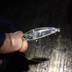 プラッギングで初メバル