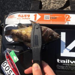 今年はおかしい