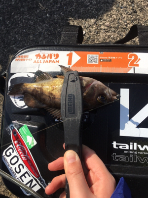 今年はおかしい