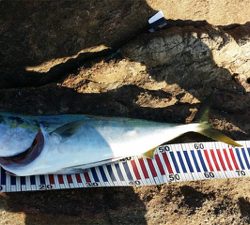 もうちょっとで