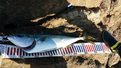 もうちょっとで