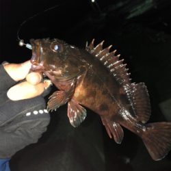 いんふぃにてぃ！