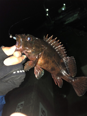 いんふぃにてぃ！