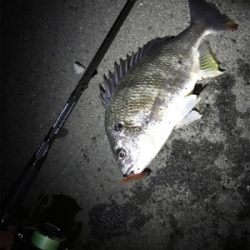 キビレわらわら