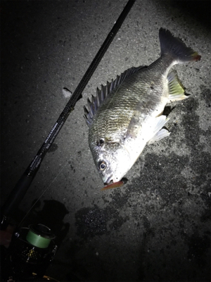 キビレわらわら