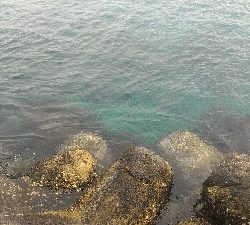 激渋メバリング