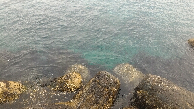 激渋メバリング