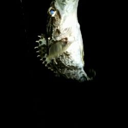 もうすぐ春かな？