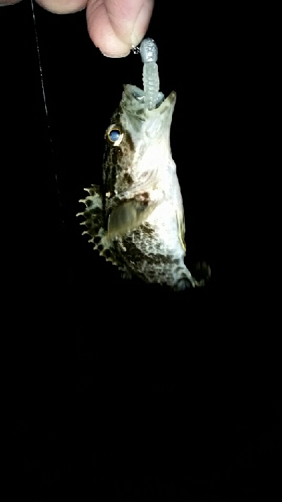 もうすぐ春かな？