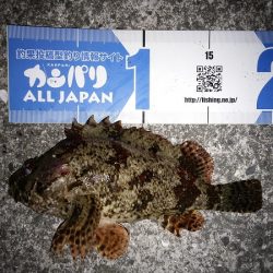 ダブルヘッダー