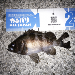 時合がハッキリ