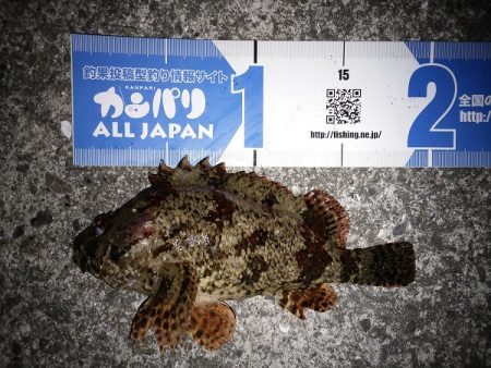 ダブルヘッダー