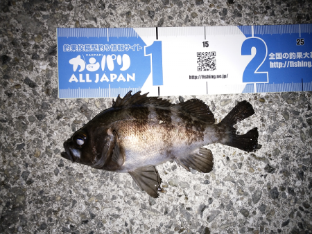 時合がハッキリ