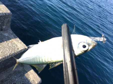 激シブのデイアジング