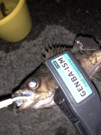 癒しのライトゲーム！