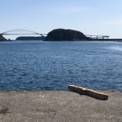 真冬の見えイカgetヽ(´▽｀)/