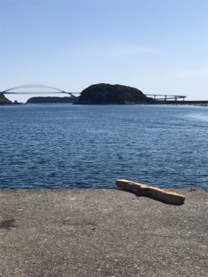 真冬の見えイカgetヽ(´▽｀)/